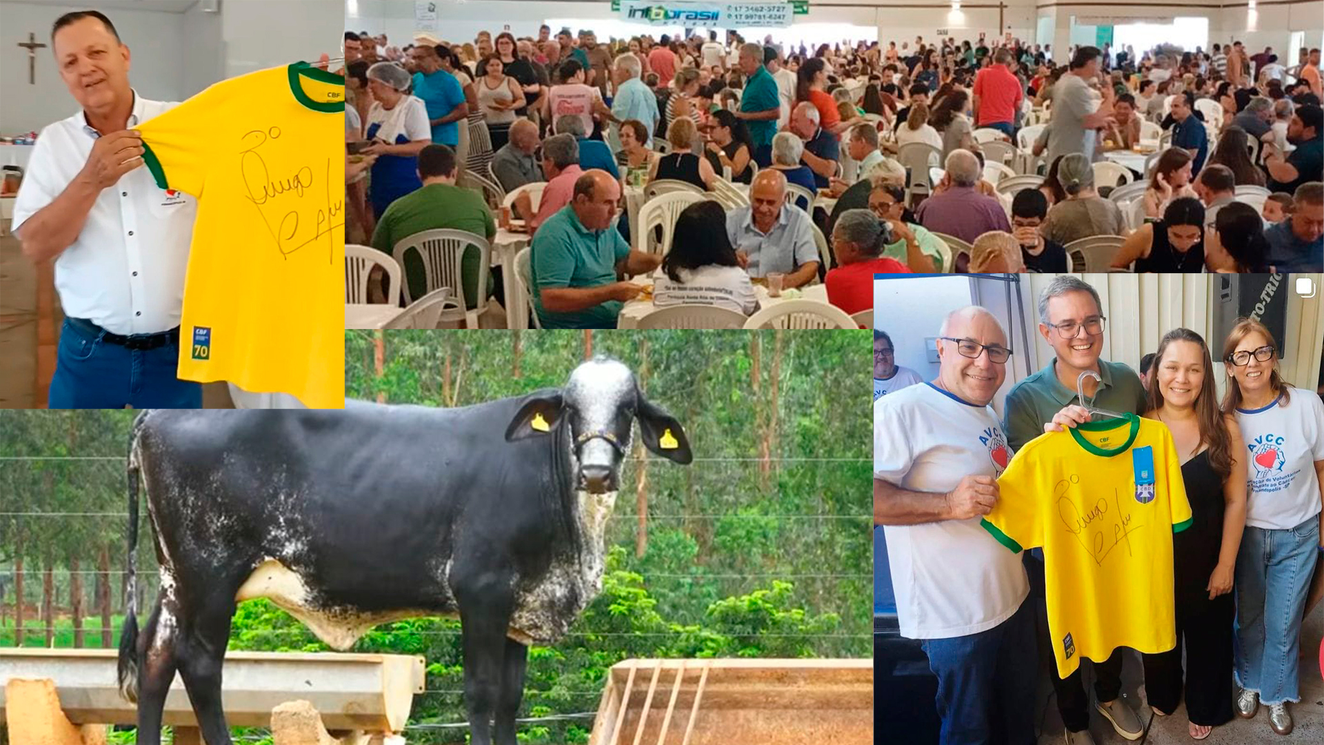 Almoço e Leilão Beneficentes da AVCC de Fernandópolis bate recorde de público Foto