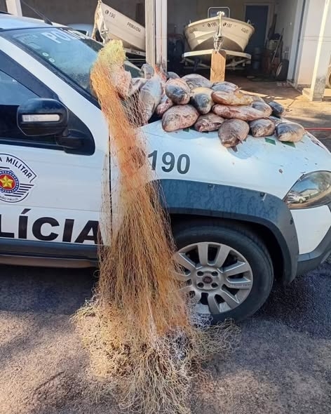 Mais de 60 kg de peixes são apreendidos pela Polícia Ambiental no Rio Aguapeí em Lucélia