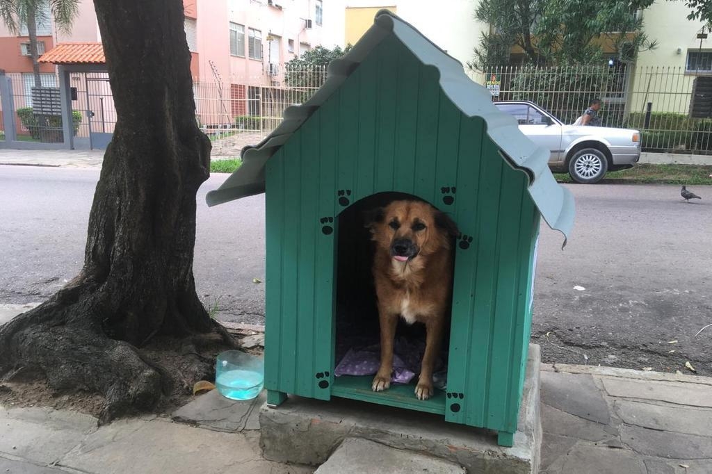CASINHA DE CACHORRO NA CALÇADA?