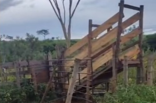 Polícia recupera gado furtado de propriedade rural na região