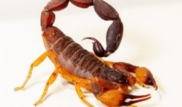 Dicas para prevenir acidentes