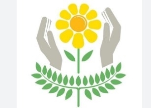 APAE - ASSOCIAÇÃO DE PAIS E AMIGOS DOS EXCEPCIONAIS DE FERNANDÓPOLIS - BALANÇO PATRIMONIAL