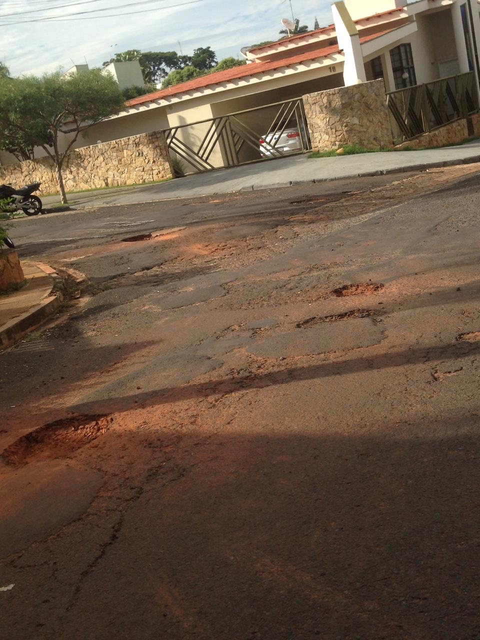 AVENIDA MILTON TERRA VERDI