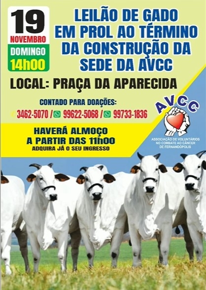 ALMOÇO E LEILÃO DA AVCC