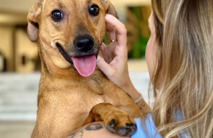 Sancionada lei estadual que autoriza o sepultamento de cães e gatos em jazigos familiares