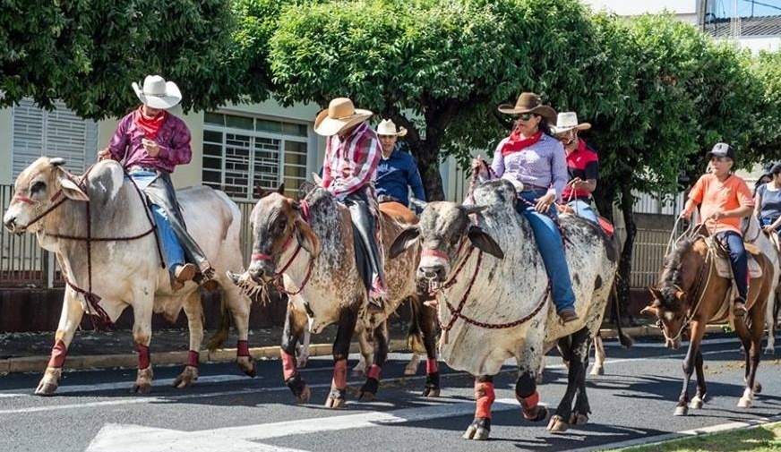 Almoço e Leilão de gado