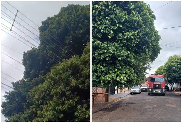 Curto-circuito mobiliza Corpo de Bombeiros, Defesa Civil e Secretaria de Trânsito