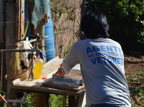Fernandópolis já registrou três anos seguidos de epidemia de dengue com 9 mil casos