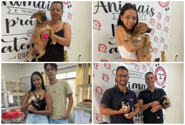 CCZ vacina 100 animais durante ação e mantém a vacinação as terças e quintas
