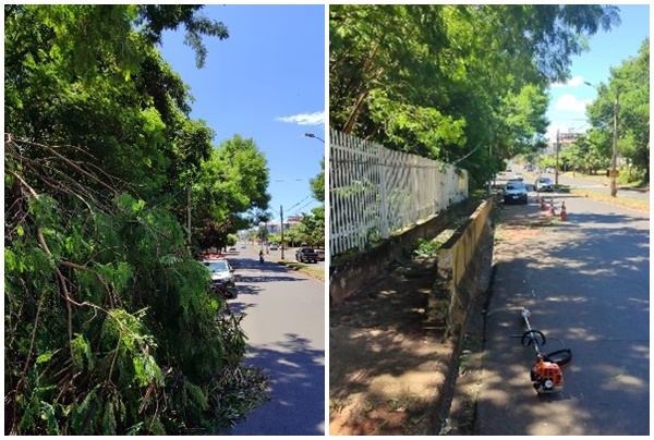 Fernandópolis ainda sofre efeitos de temporal e registra queda de árvore na Avenida dos Arnaldos
