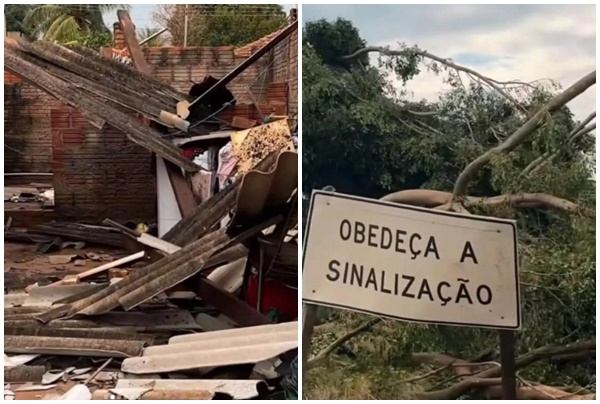 Temporal destelha casas, derruba árvores e causa falta de energia em distrito de Palmeira D’Oeste