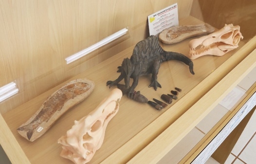 Exposição do Espinossauro no Museu de Paleontologia destaca talento jovem e tecnologia 3D
