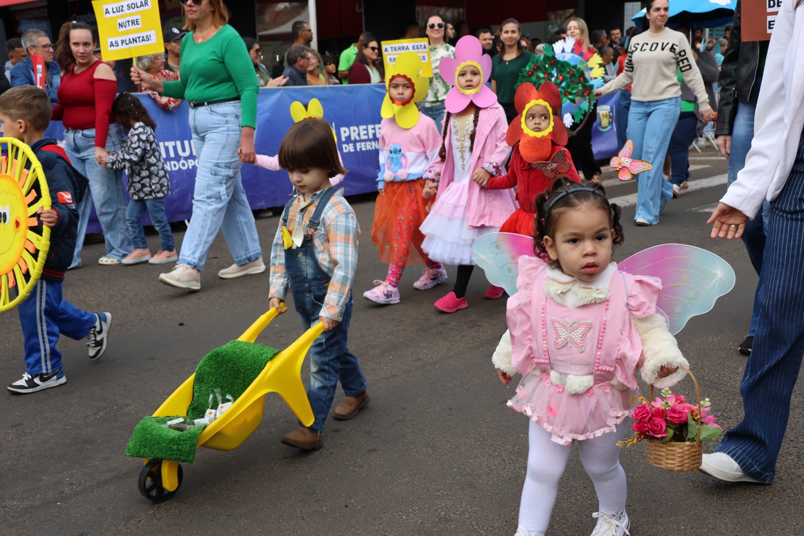Desfile de 7 de Setembro; veja galeria de fotos