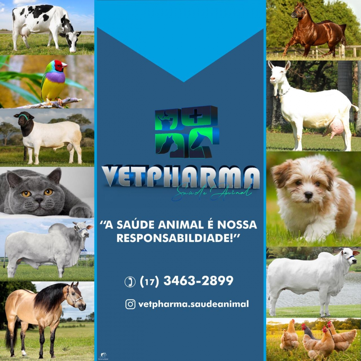 Inscritos no Cadastro Único que não recebem Bolsa Família