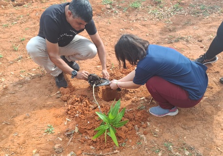 Semana da Árvore mobiliza 320 alunos em atividades de educação ambiental