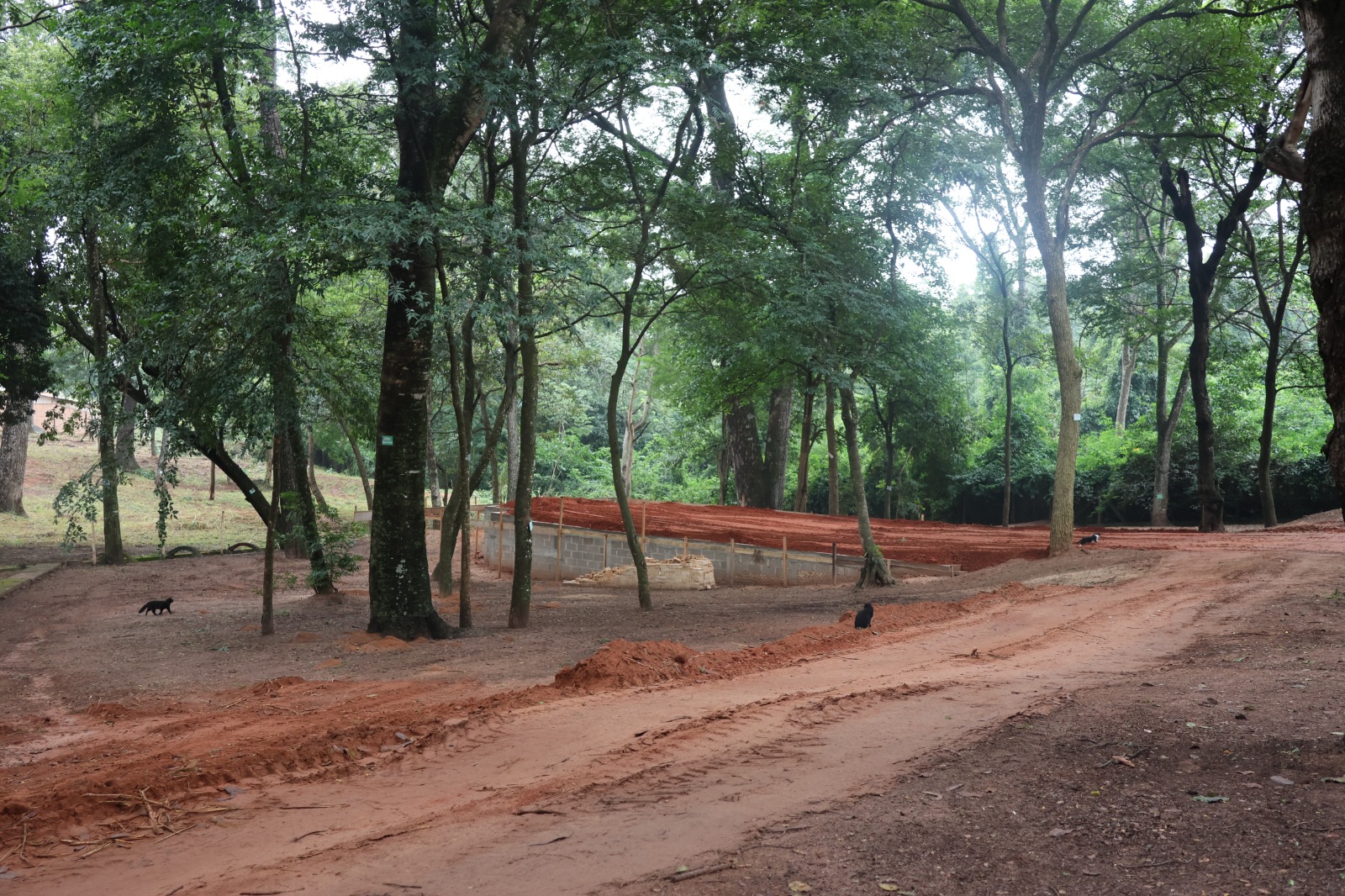 Visita marca início das obras de revitalização do Horto Florestal; obra de R$ 1,5 milhão