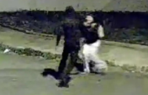 Momento do ataque foi registrado por câmeras de segurança. Foto: Reprodução