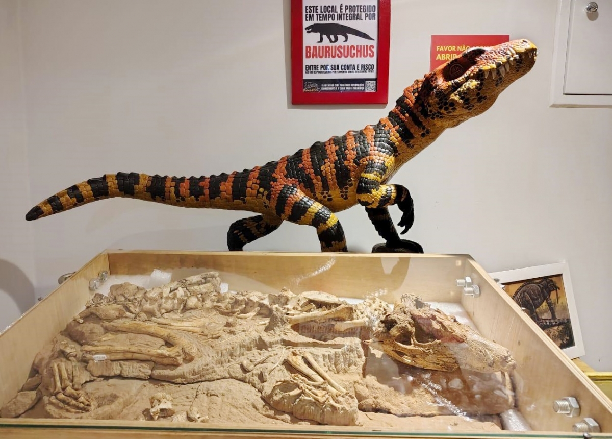 Fóssil do Museu de Paleontologia destaca Fernandópolis internacionalmente