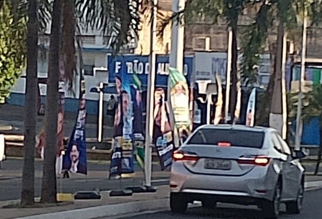 Candidatos espalham bandeiras pelos canteiros centrais de avenidas em Fernandópolis